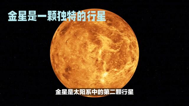 太阳系八大行星之一:金星