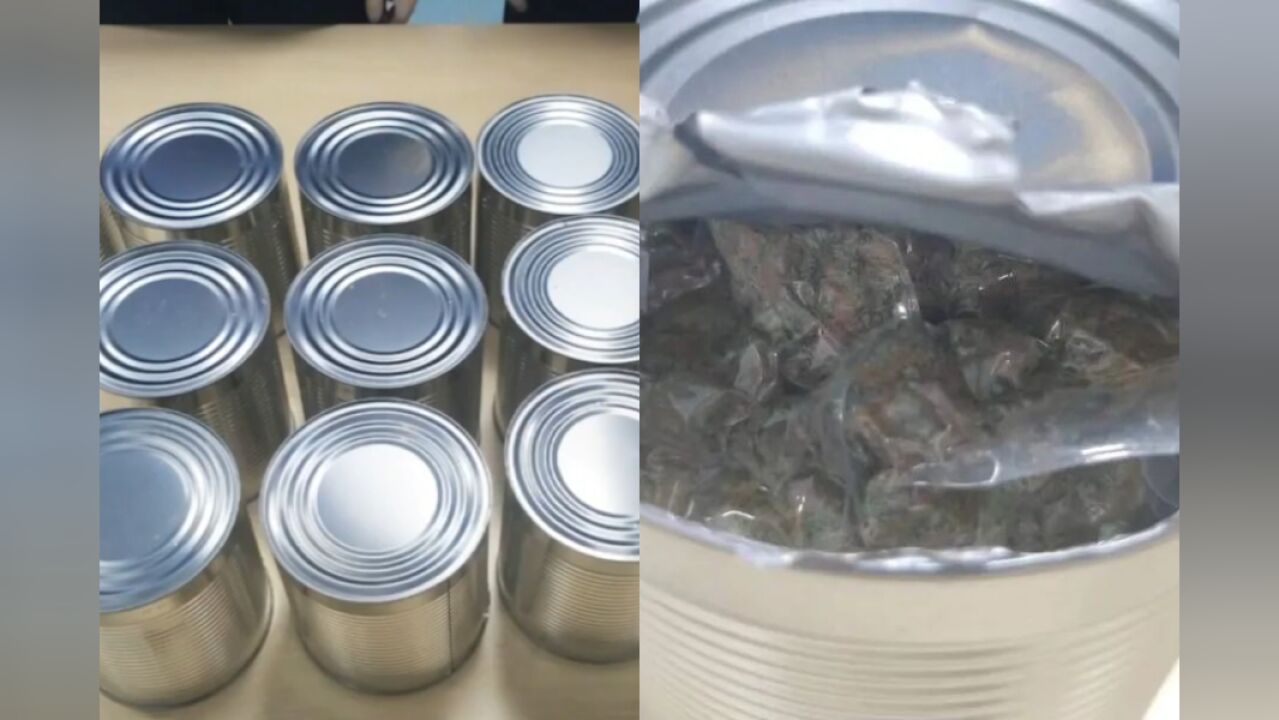 深圳一海关查获大麻8148余克:用密封铁罐封装