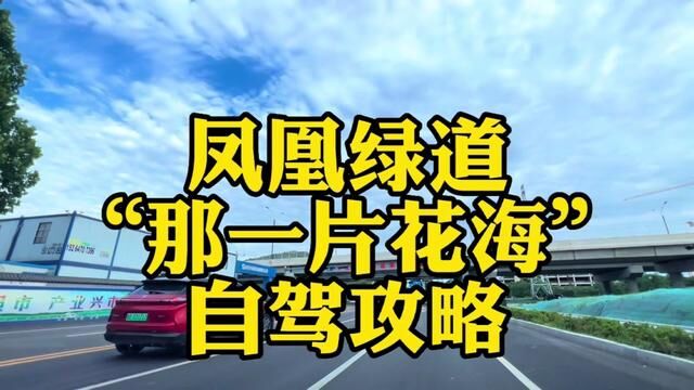 枣庄新城凤凰绿道“那一片花海”自驾攻略,导航日月山驿站#最美公路 #网红公路 #最美公路风景