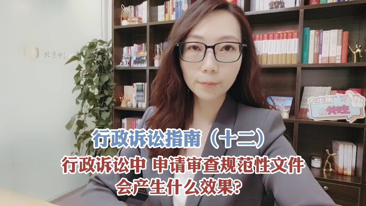 行政诉讼中,申请审查规范性文件会产生什么效果?