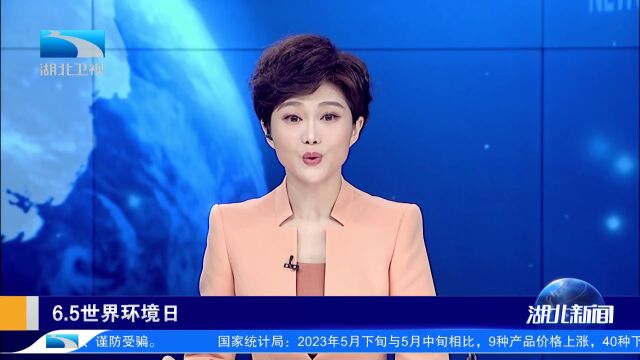 6.5世界环境日 打开湖北的绿色图鉴