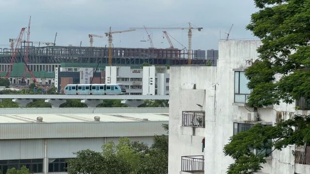 香港交流团广深考察,团员感叹“云巴”技术大大降低建造成本