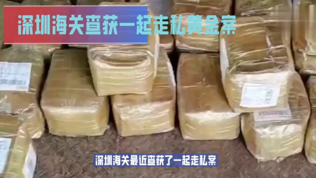 深圳海关查获一起黄金走私案