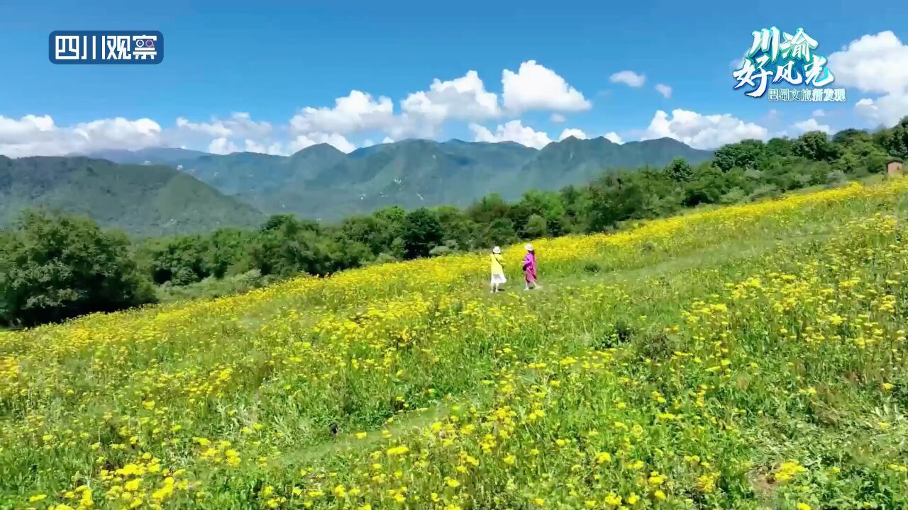 川渝好风光丨高颜值山花强势上线 凭颜值打动你