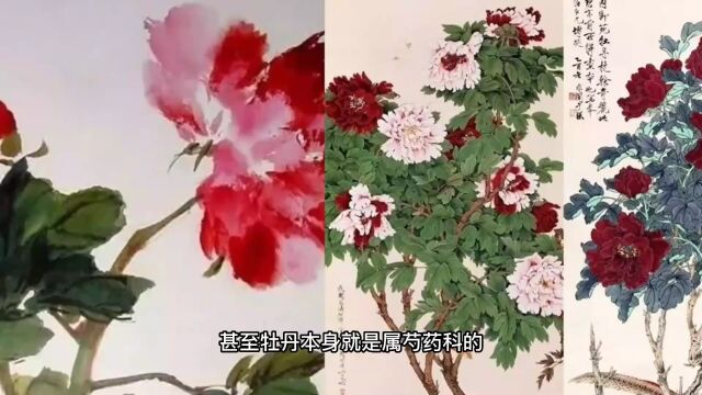 国色牡丹,天香花王