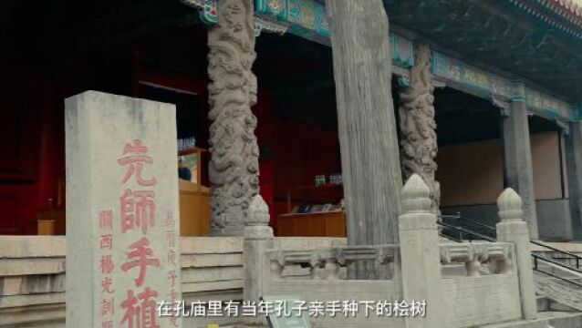 尼山对话 |千年礼乐归东鲁,万古衣冠拜素王