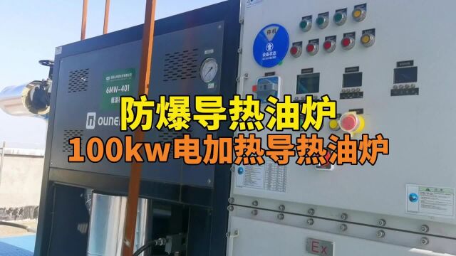 防爆导热油炉 100kw电加热导热油炉 欧能