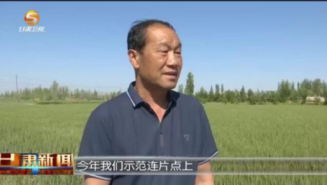 (新时代 新征程 新伟业)甘肃:多措并举 确保夏收夏管工作顺利进行