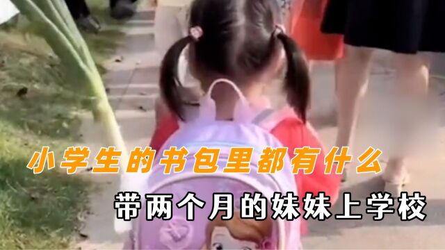 永远猜不到小学生的书包里都装了些什么 带两个月的妹妹上学校