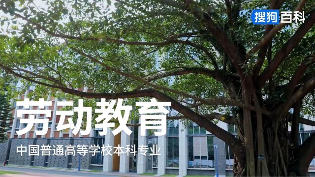 劳动教育:教育学类专业