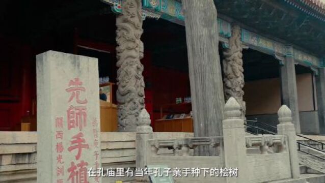 尼山对话丨千年礼乐归东鲁,万古衣冠拜素王