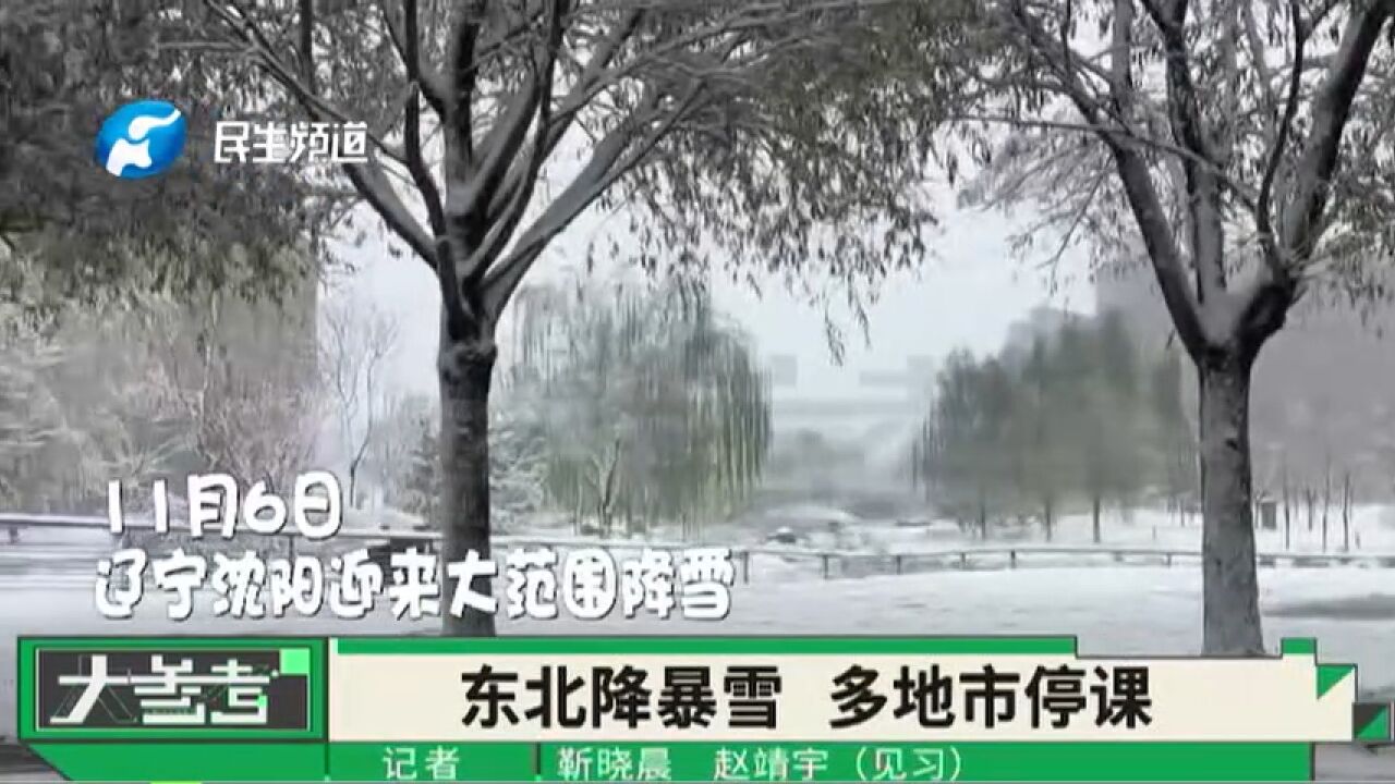 东北迎来强降雪,多地停课停运!