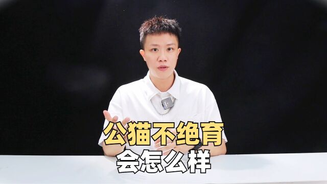 公猫不绝育会怎样?有什么后果吗?