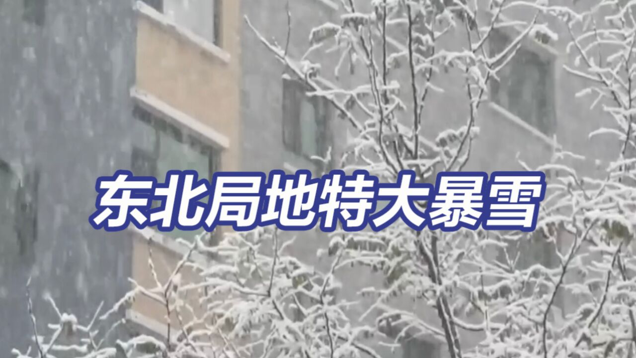 东北局地特大暴雪 应急管理部部署防范