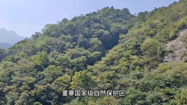 罗山县董寨自然保护区