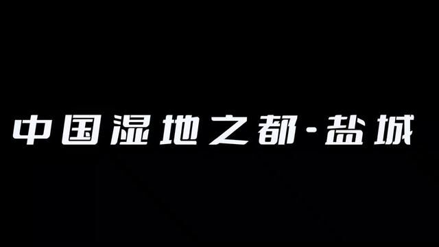 谈什么历史?论什么名气?盐城就是盐城!是中国湿地之都!是后起之秀!我盐闷声发大财!#我们如此热爱盐城 #看盐城 #城市的夜晚