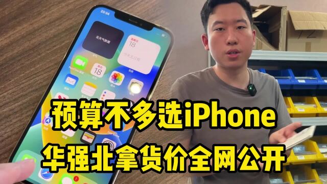 预算不多怎么选iPhone?华强北拿货价全网公开!