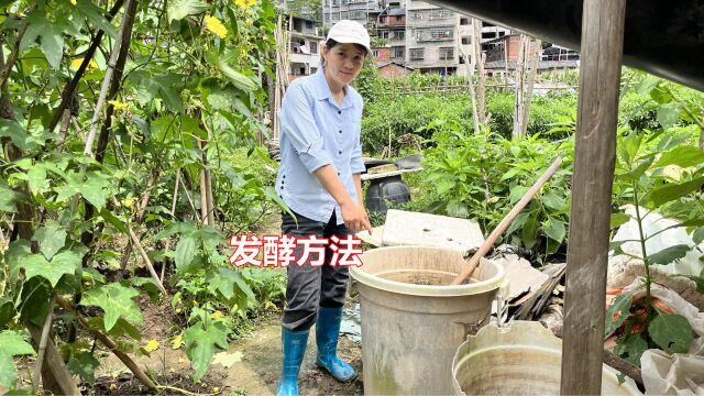 鸡粪到底怎么样发酵?3种常用土方法,简单易学一看就会