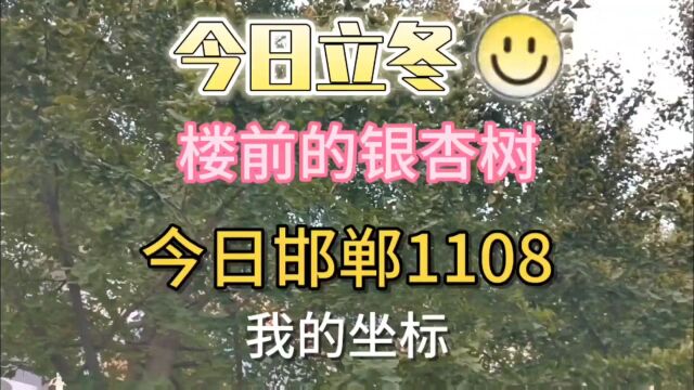 我的坐标:今日邯郸,今天立冬!