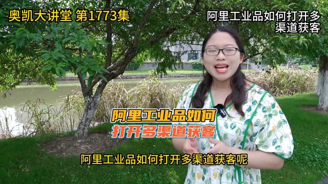 1773 阿里工业品如何打开多渠道获客