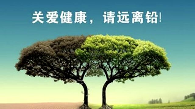 比亚迪磷酸铁锂启动电池,不含铅,寿命与车一样,终身不用更换