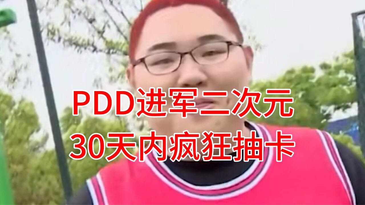 知名主播PDD进军二次元,30天内疯狂抽卡,这一身究竟要花多少钱?