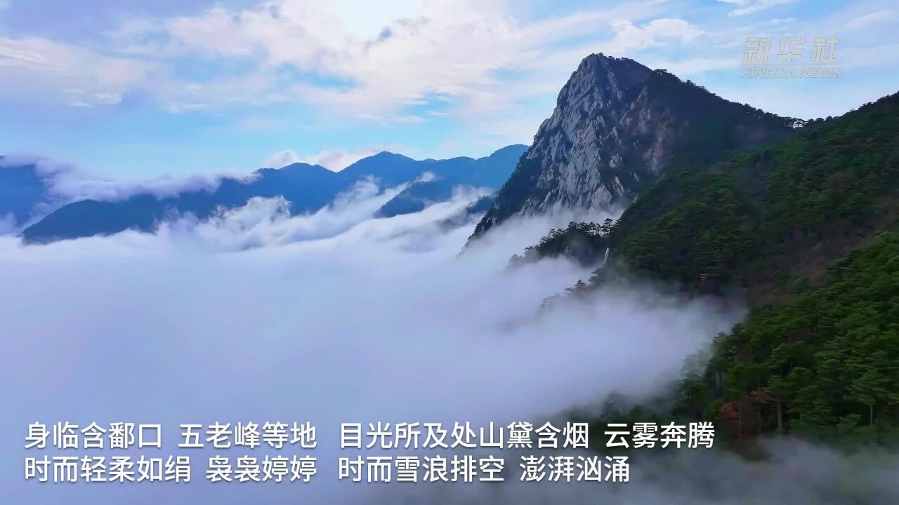 白云归山径 庐山景区立冬后首现云海景观