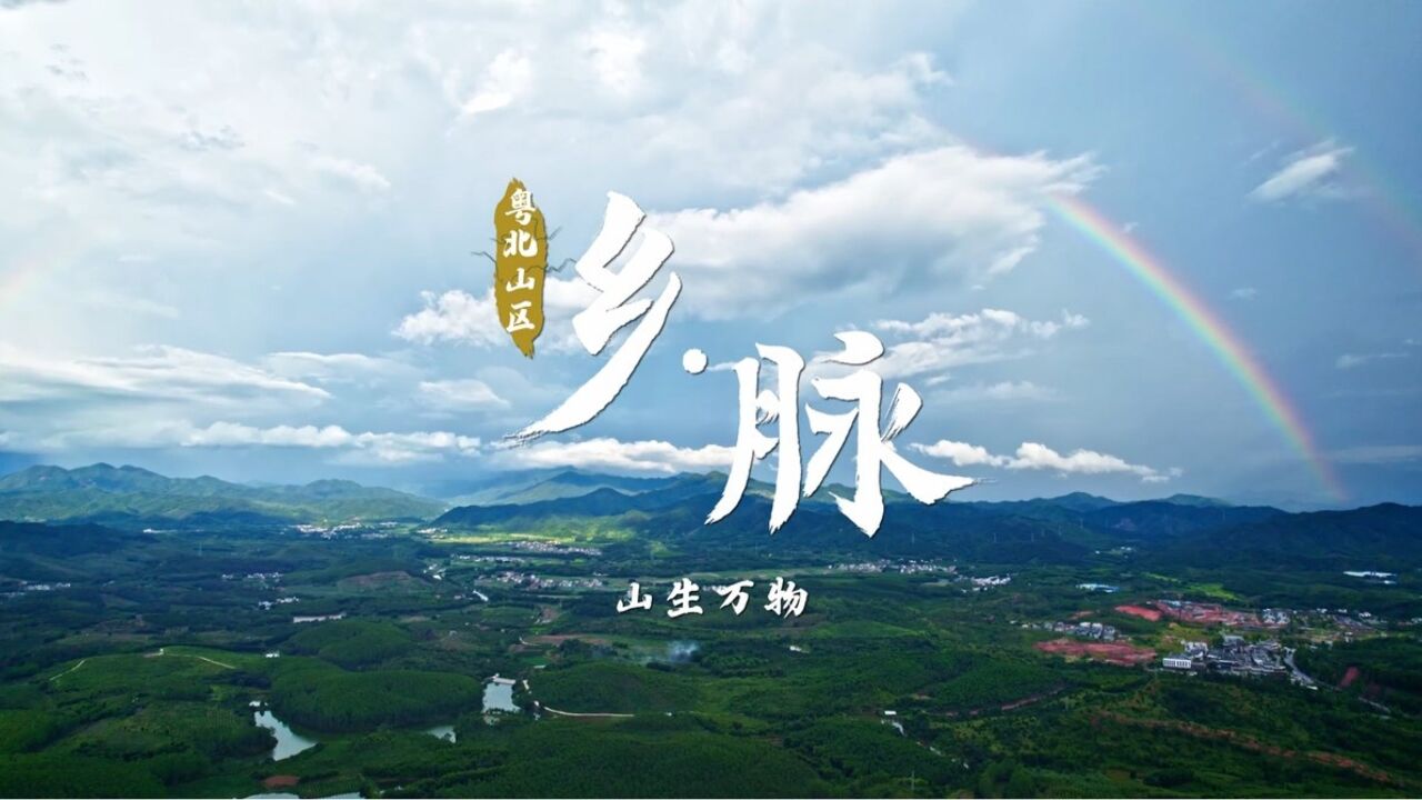 粤北山区 | 乡脉 ⷠ和美乡村万里行