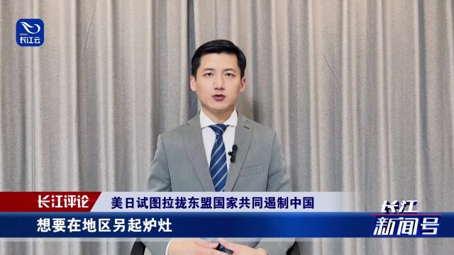 中国东盟合作驶入“快车道” 美日试图再次搅局