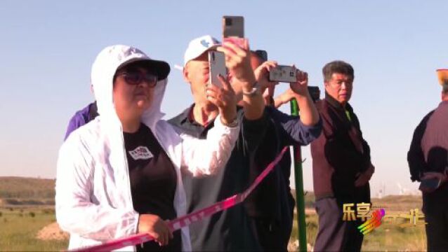 这么近,那么美,周末到河北 ⷠ清凉一夏丨张家口康巴诺尔迎来旅游观鸟客