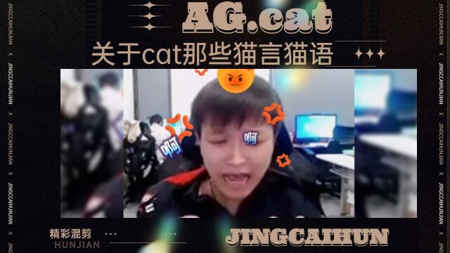 【AG.cat】关于cat那些猫言猫语