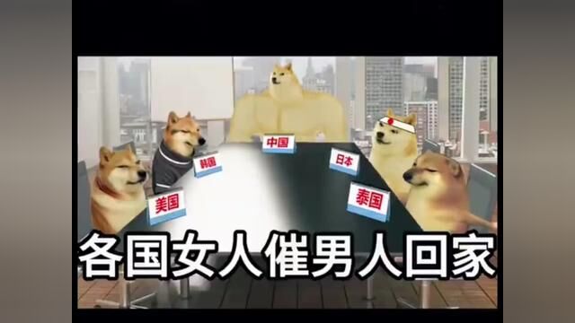 各国女人催男人回家#各国差异 #柴犬表情包 #幽默段子