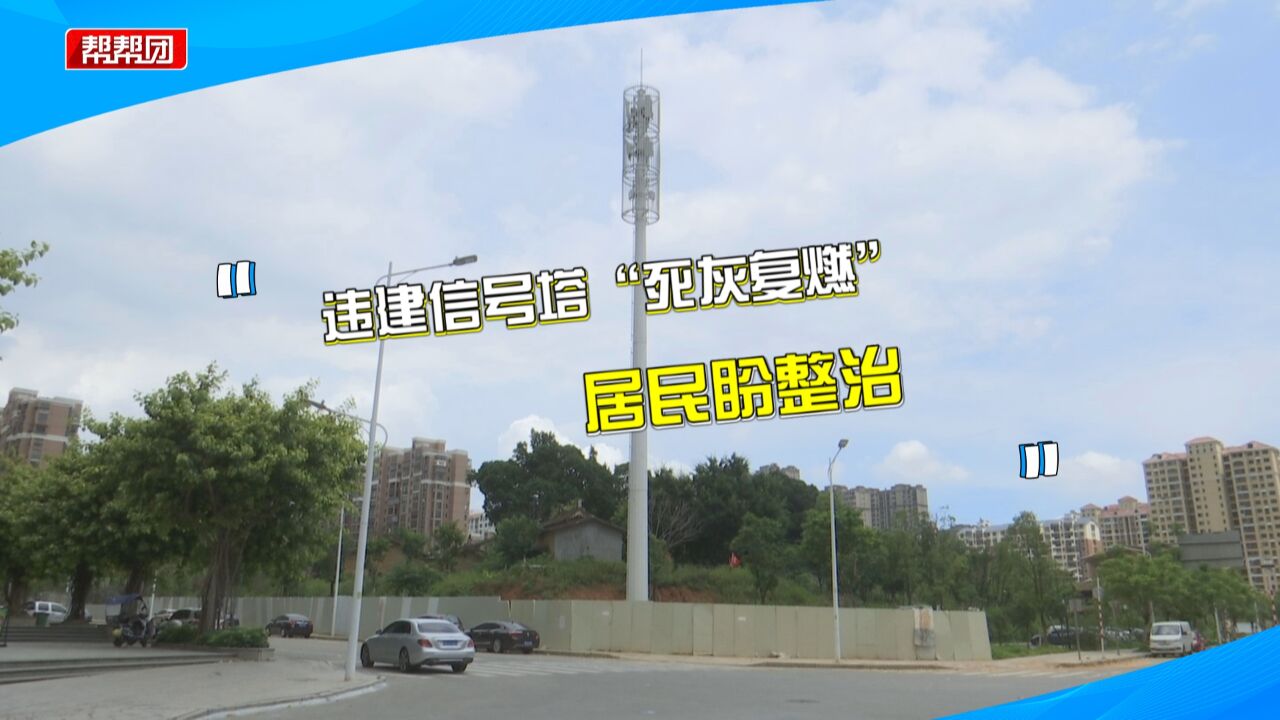 信号塔被认定违建 整改数月后又再次恢复?部门:未取得相关审批