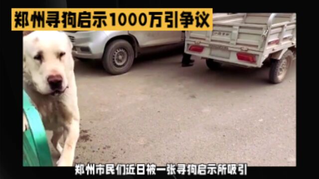 一张“悬赏1000万人民币寻狗”的寻狗启示在郑州引发了关注!