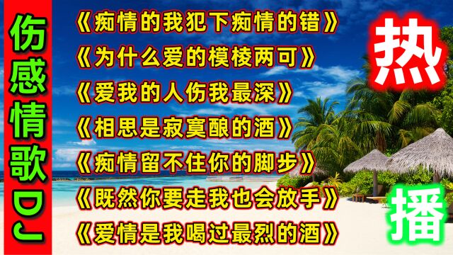 伤感情歌DJ《痴情的我犯下痴情的错》《爱我的人伤我最深》