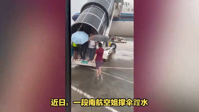 南航空姐撑伞送客,温暖行为引发点赞