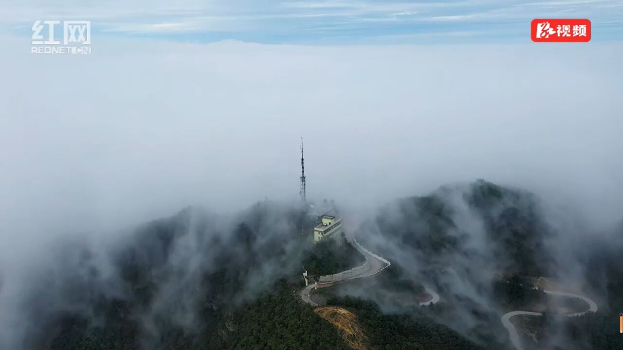 视频丨湖南蓝山:初冬云海如画