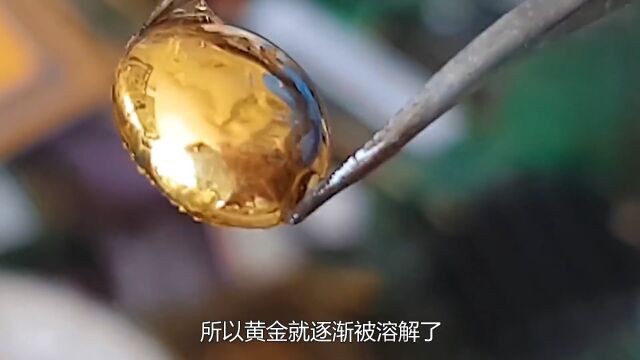 号称黄金消失术的王水,是如何溶解金条的?大型“偷金”现场