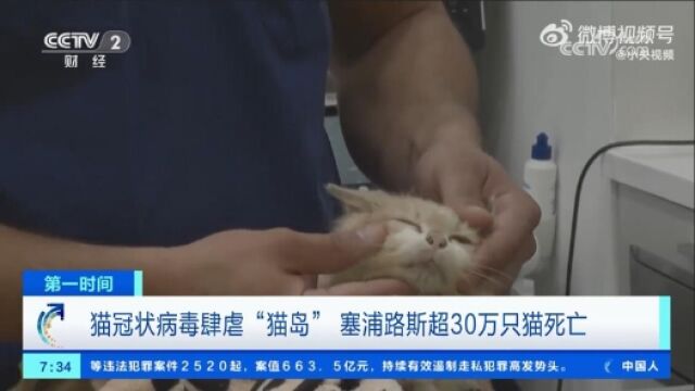 致死率90%的猫冠状病毒或已扩散