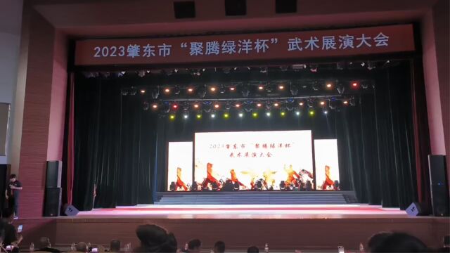 武术表演