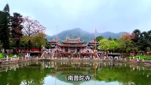 南普陀寺,用心去感受,一场与自己对话的旅行!