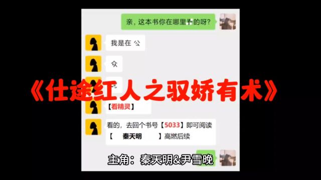 《仕途红人之驭娇有术》秦天明小说完整阅读【TXT无弹窗】