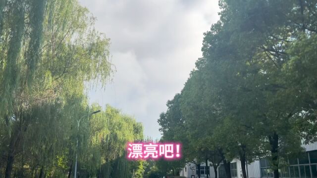 豪爵电子厂打螺丝第壹佰五十九天,加油!