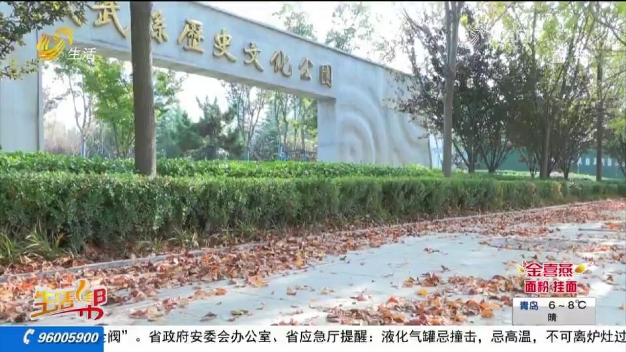 成武:部分路段“落叶缓扫”,不少市民打卡拍照,留住一城诗意