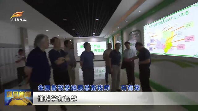 专家“把脉问诊” 为环县羊产业蓄势赋能