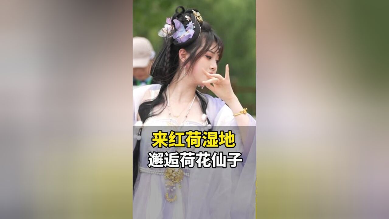 惊艳!7月19日,山东滕州微山湖红荷湿地,荷花仙子也太美了吧