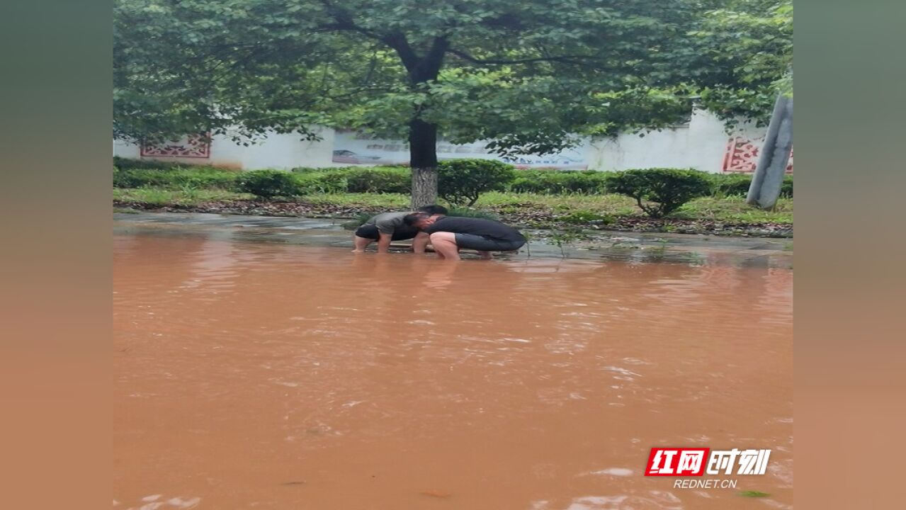 暴雨来袭 桂阳县樟市镇干部职工秒变“清理工”