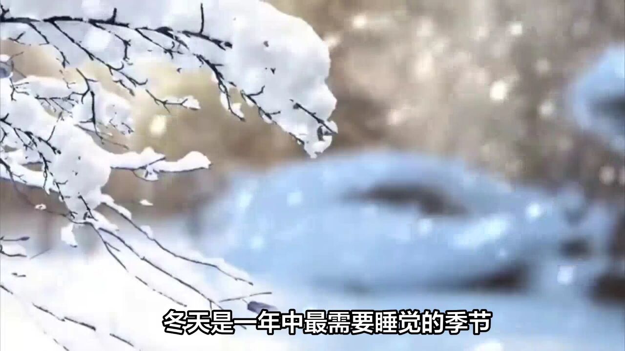 小雪将至,养生重在“藏”好4点,养阳护阴,整个冬季不生病