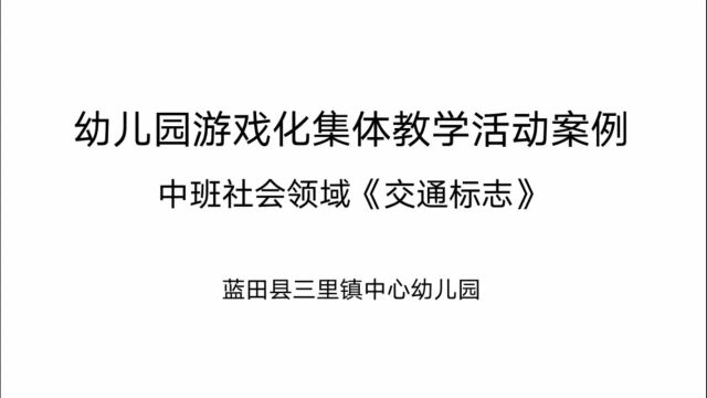 优秀游戏化集体教学活动视频案例—支冬锦