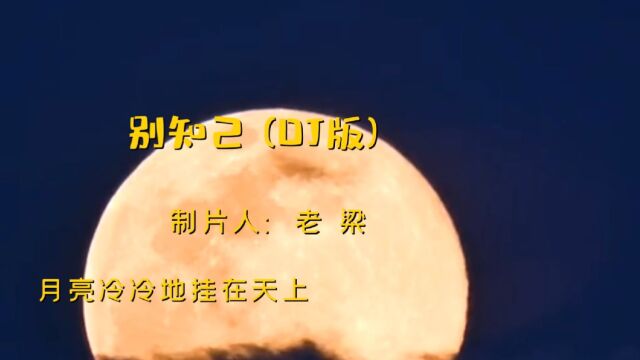 海来阿木劲爆DJ《别知己》嗓音沧桑深情,伤感催泪好听至极